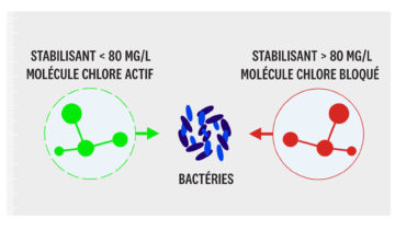 Effets d’une concentration élevée de stabilisant (acide cyanurique)  